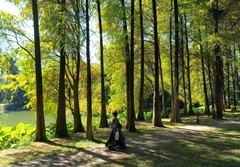 冬日树林。。。。。。