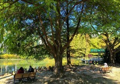 冬日树林。。。。。。