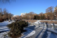 冬日——双龙公园（5）