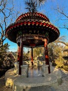 2026年-公园人文纪实抓拍-0241