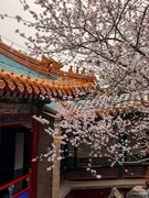 2026年-公园人文纪实抓拍-0241