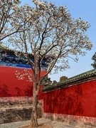 2026年-公园人文纪实抓拍-0242