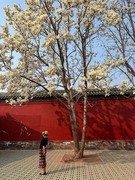 2026年-公园人文纪实抓拍-0242