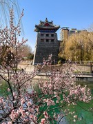 2026年-公园人文纪实抓拍-0242