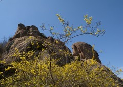 春日大珠山里的精彩