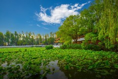 昆明翠湖风景 12