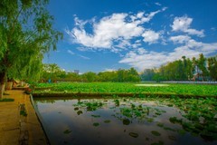 昆明翠湖风景 12