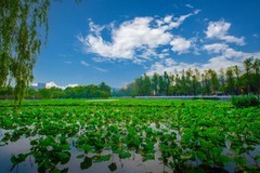 昆明翠湖风景 12