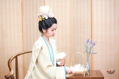 【宋韵清居·静赏繁花】---簌簌