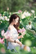 误入荷花池、花正艳