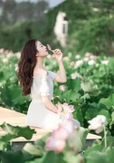 误入荷花池、花正艳