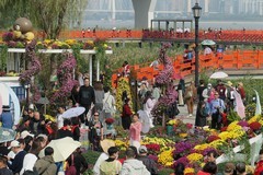 武汉江滩菊花展六