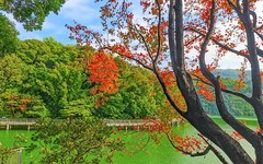 [26011] 白云山的红叶