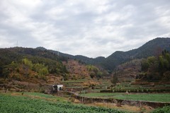 2026春节皖浙赣（56）婺源庆源村