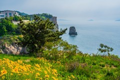 六 月，大 连 来 看 海 （ 八 ）