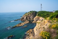 六 月，大 连 来 看 海 （ 八 ）