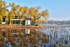 【视觉光影】明 湖 初 冬（5）