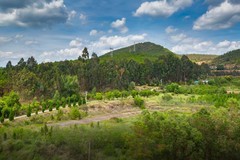香格里拉到西双版纳沿途风景84