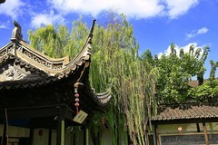 小景随拍（13）