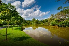 西双版纳热带植物园10