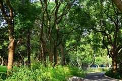 这里的秋色最美丽