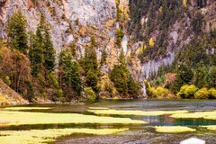 外出随拍（784）.