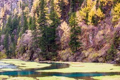 外出随拍（784）.