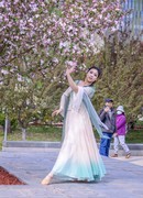 翩翩起舞的花仙子