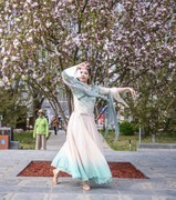 翩翩起舞的花仙子