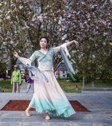 翩翩起舞的花仙子