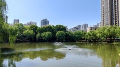 三潭公园