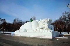 2026.2    太阳岛雪博会    2