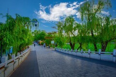 昆明翠湖风景 14