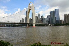 今天在琶洲采花。。。。。。