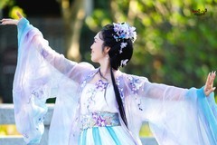 【云间紫蝶】---芝栀