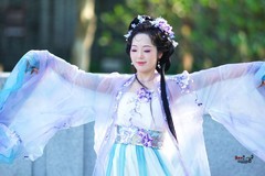 【云间紫蝶】---芝栀