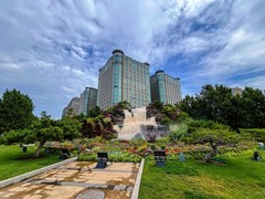 2025年-北京街头主题花坛-0827