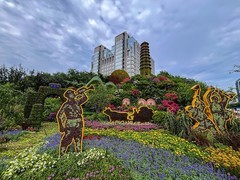 2025年-北京街头主题花坛-0827