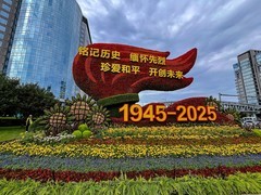 2025年-北京街头主题花坛-0827