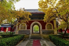 2025年第0765贴-海淀万寿寺秋纪实拍（1107）