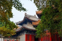 2025年第0766贴-海淀万寿寺秋纪实拍（1107）