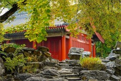 2025年第0766贴-海淀万寿寺秋纪实拍（1107）