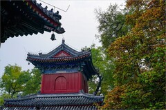 2025年第0766贴-海淀万寿寺秋纪实拍（1107）