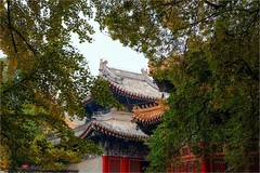 2025年第0767贴-海淀万寿寺秋纪实拍（1107）