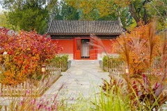 2025年第0767贴-海淀万寿寺秋纪实拍（1107）