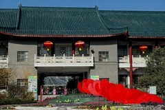 植物园蝴蝶兰五（完）