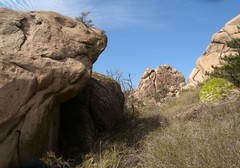 春日大珠山里的精彩--续