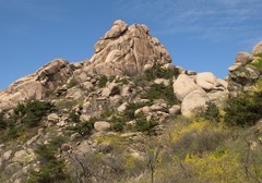 春日大珠山里的精彩--续