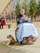 公园坐轮椅的休闲老人