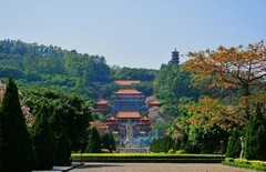 旧尼康d300s的拍摄。